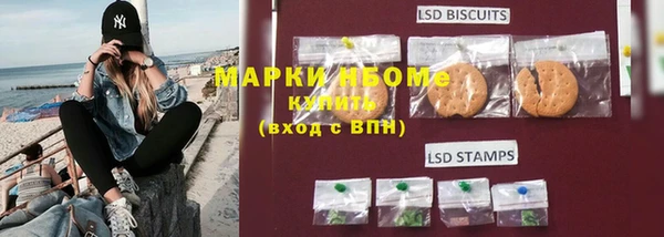 хмурый Алексин