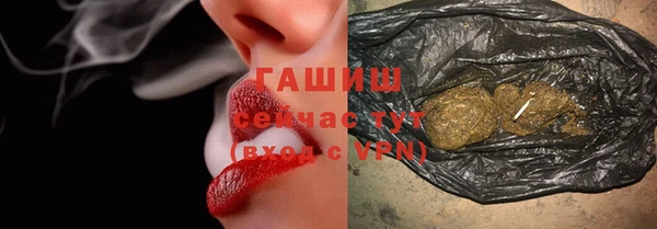 хмурый Алексин