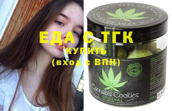 хмурый Алексин