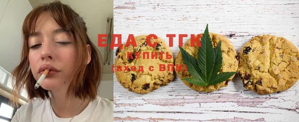 хмурый Алексин