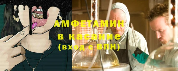 ECSTASY Алзамай