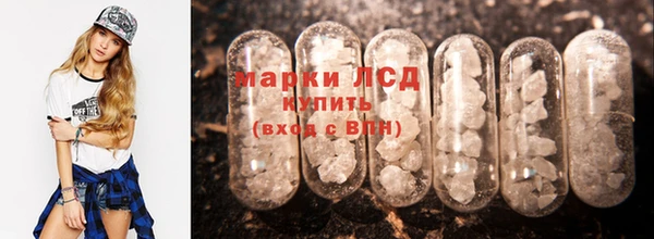 ECSTASY Алзамай