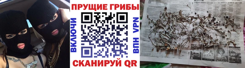 Псилоцибиновые грибы мицелий  MEGA как войти  Опочка 