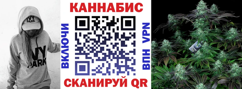 Канабис семена  Опочка 